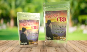 Dog Treats - Cinnamon Burst